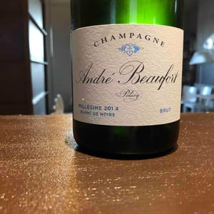 Polisy Millesimé Brut - Champagne André & Jacques Beaufort - André & Jacques Beaufort 