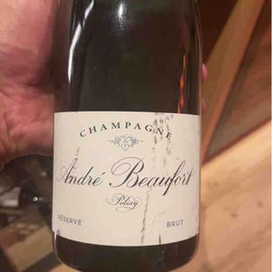 Polisy Millesimé Brut - Champagne André & Jacques Beaufort - andre-jacques-beaufort