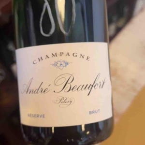 Polisy Millesimé Brut - Champagne André & Jacques Beaufort - andre-jacques-beaufort