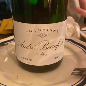 Polisy Millesimé Brut - Champagne André & Jacques Beaufort - andre-jacques-beaufort