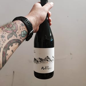 Pollino - Giuseppe Calabrese - giuseppe-calabrese -2015