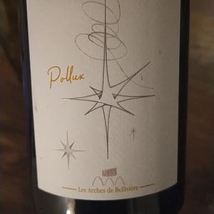 Pollux - Domaine de Bellivière - clement-et-laure-anne-nicolas