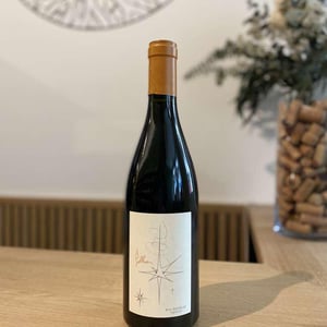 Pollux - Domaine de Bellivière - clement-et-laure-anne-nicolas