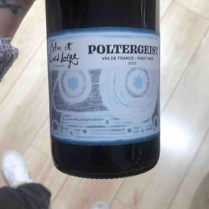 Poltergeist - David Large - celia-rostand-et-david-large -2022