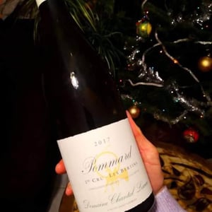 Pommard 1er Cru Les Bertins - Chantal Lescure - francois-chaveriat -2017