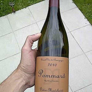 Pommard - Domaine Montchovet - didier-montchovet
