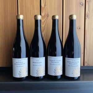 Pommard - Maison Pierre-Henri Rougeot - pierre-henri-rougeot -2021