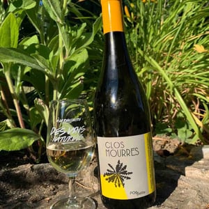 Clos des Mourres - Ingrid & Jean-Philippe Bouchet - Pompette Blanc