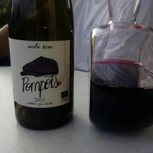 Le Clos des Treilles - Nicolas Reau - Pompois