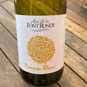Pompon Blanc - Mas de la Font Ronde - Vincent Moulin 