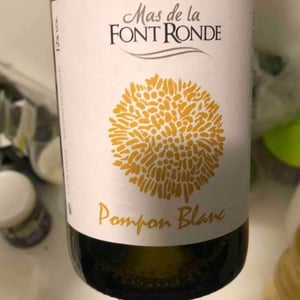 Pompon Blanc - Mas de la Font Ronde - Vincent Moulin 