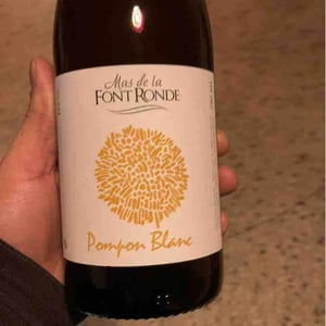 Pompon Blanc - Mas de la Font Ronde - Vincent Moulin 