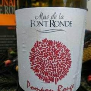 Pompon Rouge - Mas de la Font Ronde - vincent-moulin