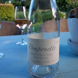 Pomponette - Domaine de Sulauze - karina-guillaume-lefevre