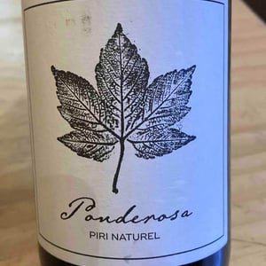 Ponderosa - Piri Naturel - Christine Pieroth 