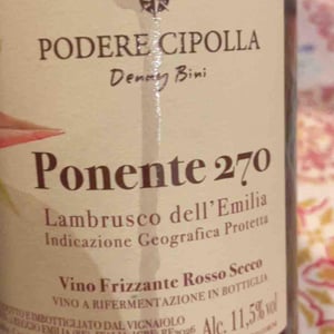 Ponente 270 - Podere Cipolla - Denny Bini 