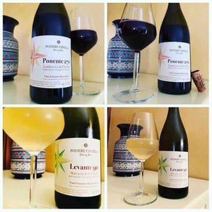 Ponente 270 - Podere Cipolla - Denny Bini 