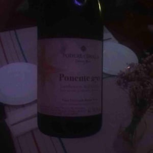 Ponente 270 - Podere Cipolla - Denny Bini 