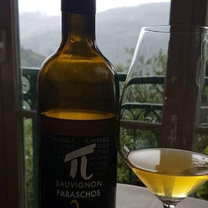 Ponka - Paraschos - evangelos-alexis-jannis-paraschos