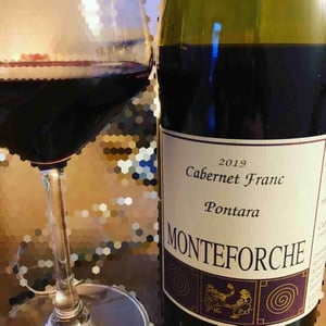 Pontara - Azienda Agricola Monteforche - Alfonso Soranzo 
