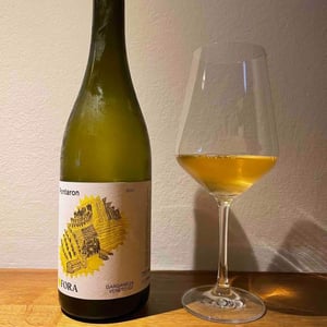 Pantaron - Fora Wines - Giovanni Bottazzi, Simone Fanton 