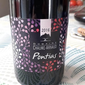 Pontias (Rouge) - Domaine Chaume-Arnaud - valerie-philippe-chaume-arnaud