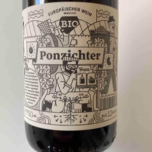 Weingut Weninger (Austria) / Weninger Pincészet (Hungary) - Franz Weninger - Ponzichter