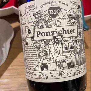 Ponzichter 2020