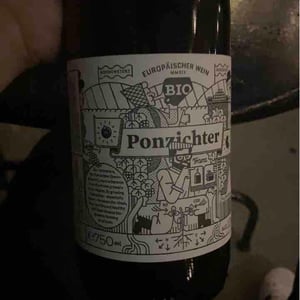 Weingut Weninger (Austria) / Weninger Pincészet (Hungary) - Franz Weninger - Ponzichter