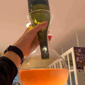 Poolside - Shobbrook Wines - Tom Shobbrook 