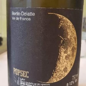 Bertin Delatte - Nicolas Bertin & Geneviève Delatte - Popsec