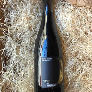 Popsec - Bertin Delatte - nicolas-bertin-genevieve-delatte