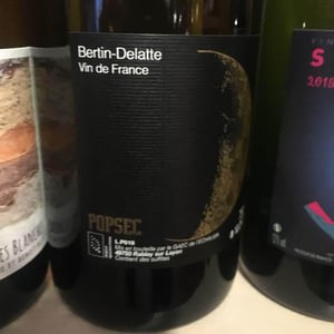 Popsec - Bertin Delatte - nicolas-bertin-genevieve-delatte