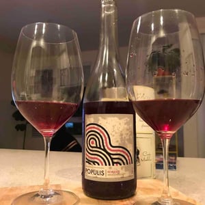 Populis Reversée - Les Lunes Wine / Populis Wine - shaunt-oungolian-diego-roig