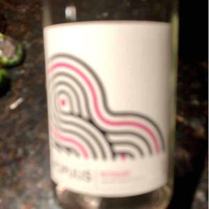 Populis Reversée - Les Lunes Wine / Populis Wine - Shaunt Oungolian & Diego Roig 