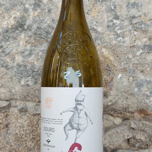 Ginga Natcool - Pormenor Vinhos - pedro-coelho