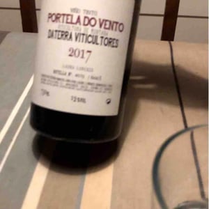 Portela Do Vento - Daterra Viticultores - Laura Lorenzo Dominguez 