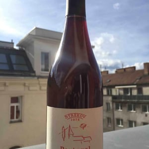 Portugal 2017 - Strekov 1075 - Zsolt Sütó