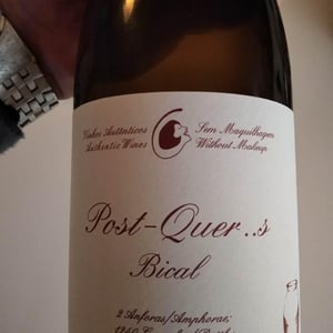 Post-Quer..s - Filipa Pato - filipa-pato-william-wouters