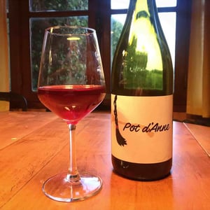 Autour de l'Anne - Anne Leclerc Paillet - Pot d'Anne