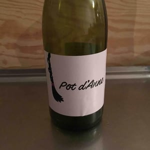 Autour de l'Anne - Anne Leclerc Paillet - Pot d'Anne