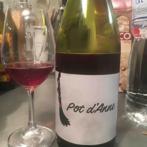 Autour de l'Anne - Anne Leclerc Paillet - Pot d'Anne