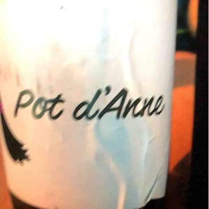 Autour de l'Anne - Anne Leclerc Paillet - Pot d'Anne
