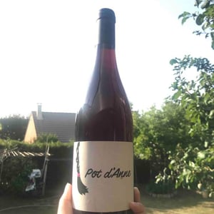 Pot d'Anne - Autour de l'Anne - Anne Leclerc Paillet 