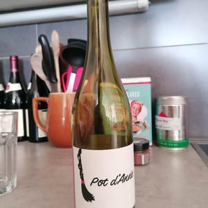 Autour de l'Anne - Anne Leclerc Paillet - Pot d'Anne