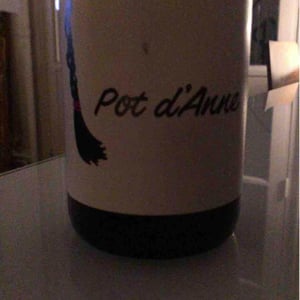 Autour de l'Anne - Anne Leclerc Paillet - Pot d'Anne