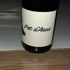 Autour de l'Anne - Anne Leclerc Paillet - Pot d'Anne
