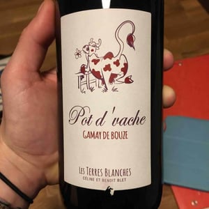 Pot d'Vache - Les Terres Blanches - Celine & Benoit Blet 