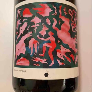 Domaine de l'Alezan - Remi & Patricia Bonneton - Potion