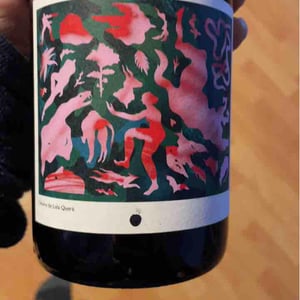 Domaine de l'Alezan - Remi & Patricia Bonneton - Potion